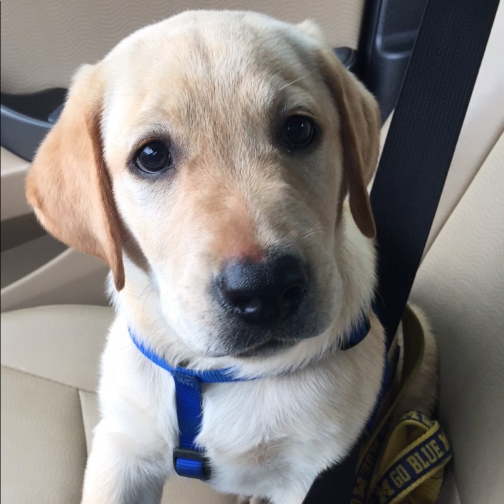 Meet your Posher, Kayla